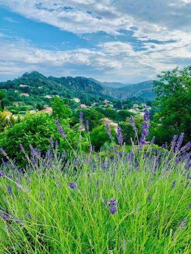 Ferienhaus mit grandiosem Blick - Location saisonnière - Anduze