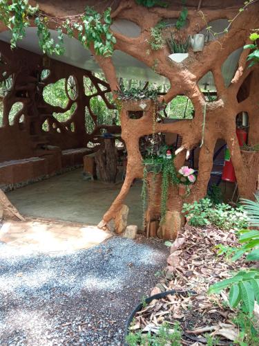 Kert, NOMADAS chales, mini casinhas, bangalos , area de camping e cozinha compartilhada in Bonito