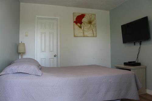 1 queen bed