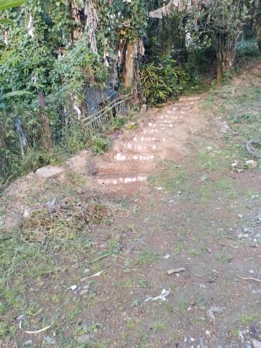 VERTCALM in Basse-Pointe