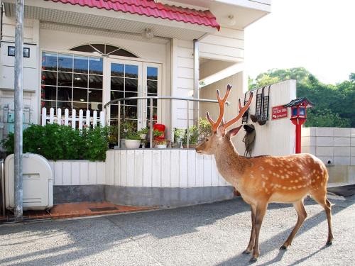 Nara - Hotel / Vacation STAY 47950 — other in Takabatakebodaicho 1122-21 , Nara Japan, 630-8301