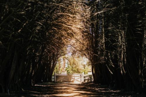 The Barn at Crofters Fold - Daylesford Macedon Region, Pipers Creek (fotografie 4)