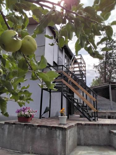 Accommodation in Rakhat