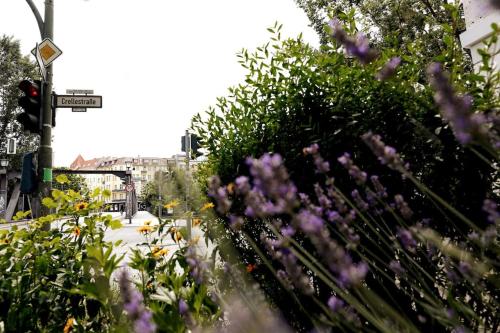 LANG Li by ROCKCHAIR Apartments l SUPERHOST Status l 2 Bedrooms Boxspringbeds in City Center - Cozy Family & Business Flair welcomes you!, Berlino (foto 8)