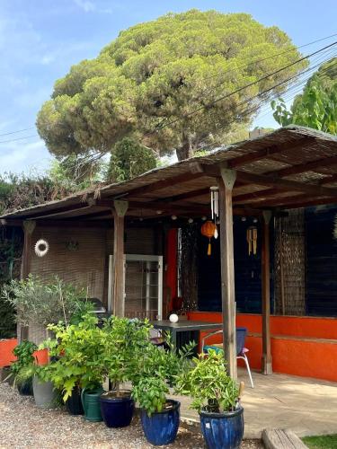 Kert, Palm Maresme - Suite with bathroom and terrasse with ocean views in a private villa in Vilassar de Dalt