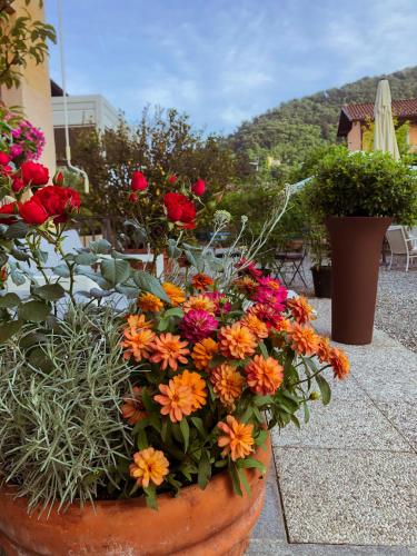 Hotel Antica Stallera - image 10