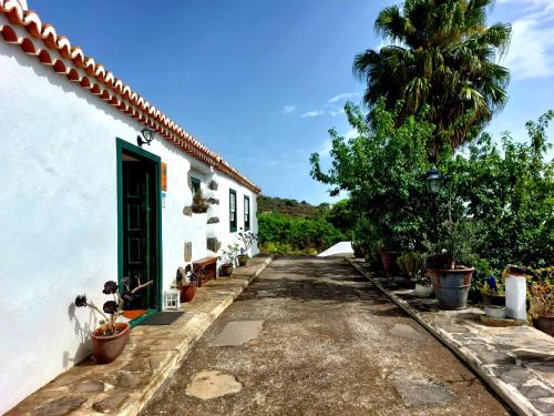 外部景觀, Eloina in 巴洛文托