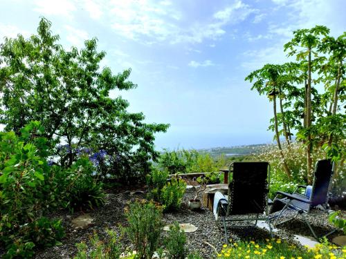 花園, Eloina in 巴洛文托