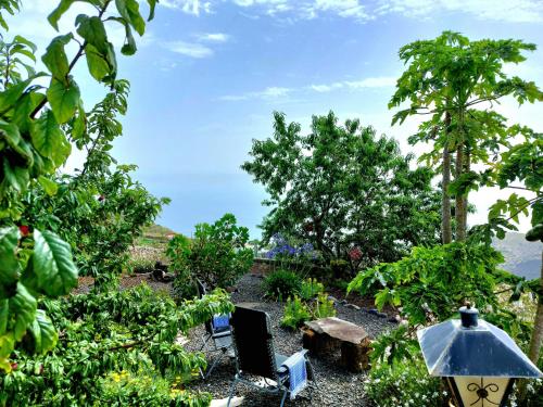 周邊環境, Eloina in 巴洛文托