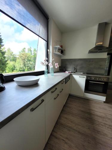 Winterberg Appartement 21097 - image 13