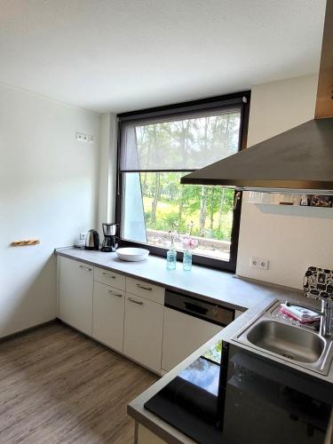 Winterberg Appartement 21097 - image 2