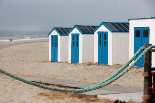 Hotel Zeerust Texel - image 9