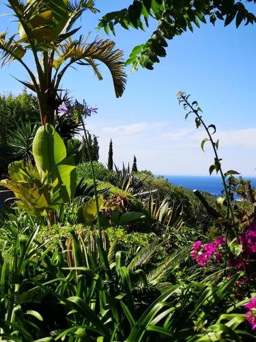  Agroturismo Can Pardal in Sant Miquel de Balansat