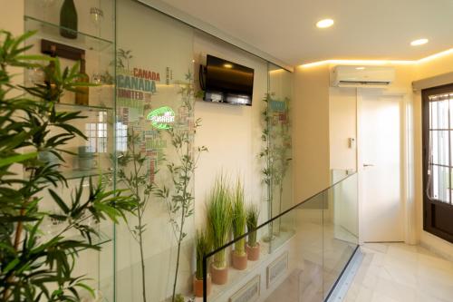 セビリア The Terrace, duplex con terraza privada 4つ星 シングルルーム レストラン