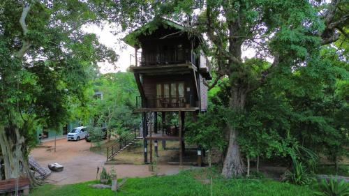 B&B Welpitiya - Wilpattu Tree House - Bed and Breakfast Welpitiya