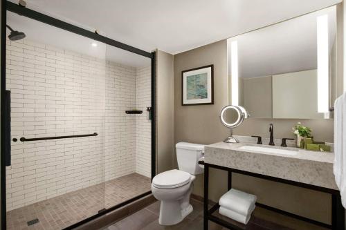 Hotel Alba Tampa Tapestry Collection By Hilton - image 6