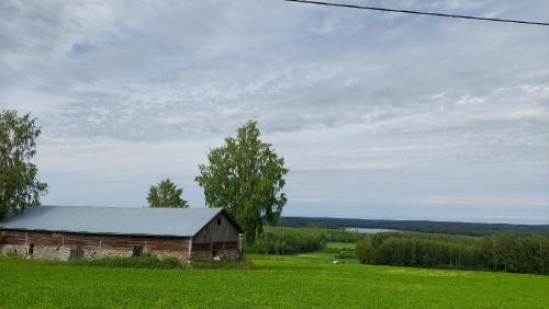 Koivula Fish Cottage