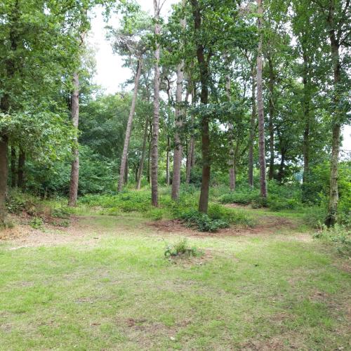 Vakantiehuis op top locatie #Ommen in Buurtschap Giethmen