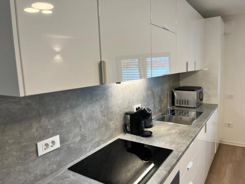 Villa Kovačeva apartments, Marice Kovačeve 15, app 1, free parking, Lublaň (fotografie 6)