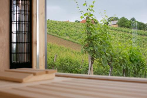 Hisa Vukan - Eco House in middle of vineyard with Sauna!