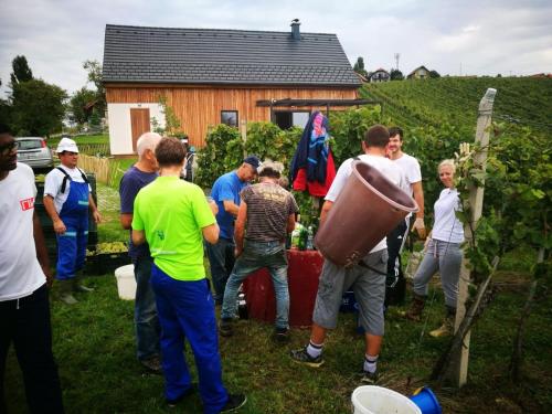 Hisa Vukan - Eco House in middle of vineyard with Sauna!