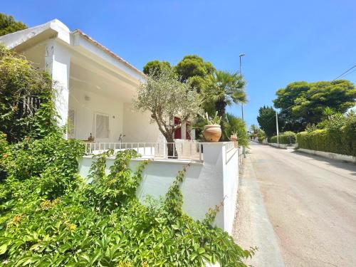 At the Seacily At the Seacily