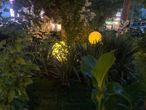 Hotel Carmen – Eforie Nord, CA