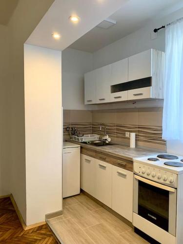Central City Apartment, Skopje (photo 9)