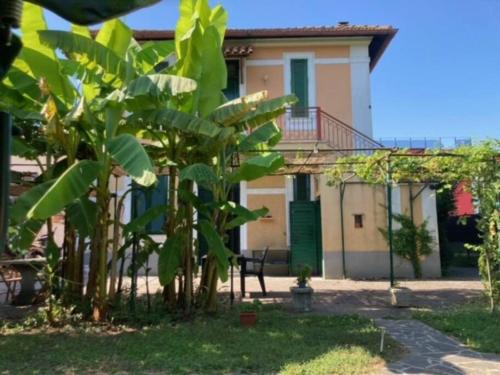 Green house di Alberto, Roma (foto 7)