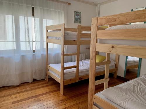 Bunk Bed in Mixed Dormitory Room