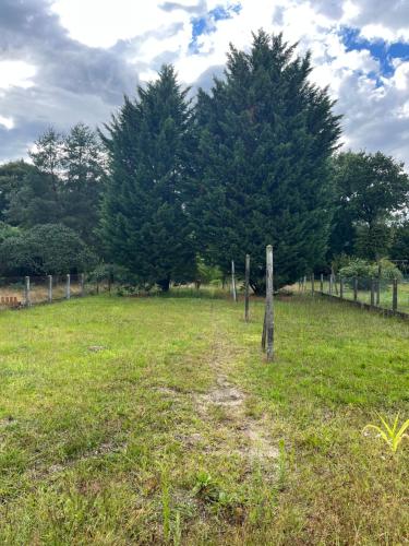 حديقة, Maison lamotte beuvron in Lamotte-Beuvron