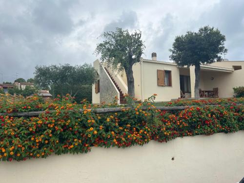 Viesnīcas āriene, Villetta Indipendente Sardegna in Villaputzu