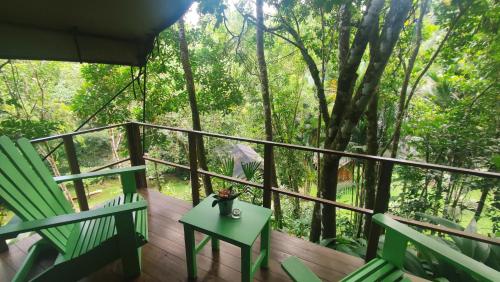 12 Best Hotels in Ojochal, Costa Rica for All Interests