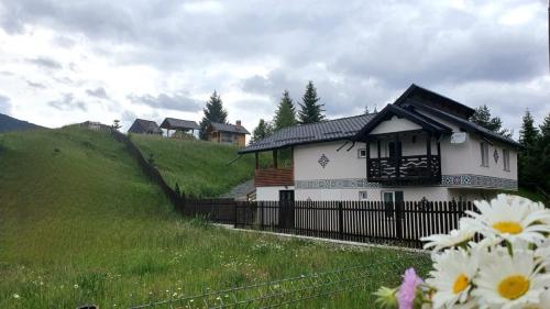 Viesnīcas āriene, Casa Viorica -Botoș (Casa Viorica -Botos) in Ciocănești