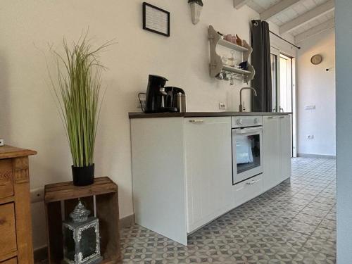 Kitchen, LA PIANA Holiday House in Luogosanto