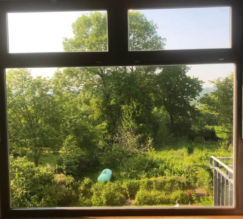 ziggy's room with a view