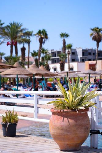 Mashrabiya Hotel – Hurghada, MA