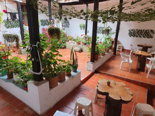 Hostal la Casa del Músico (Hostal la Casa del Musico) in El Cocuy