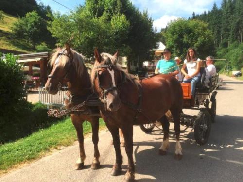 Ferienwohnungen Maierhof Oberried