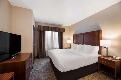 Comfort Inn & Suites Las Vegas - Nellis - image 2