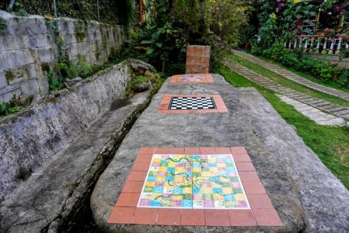 Simba, Medellín (foto 9)