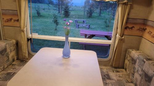 ทัศนียภาพ, RV with Rocky Mountains View in แมคบริดจ์ (บริติชโคลัมเบีย)