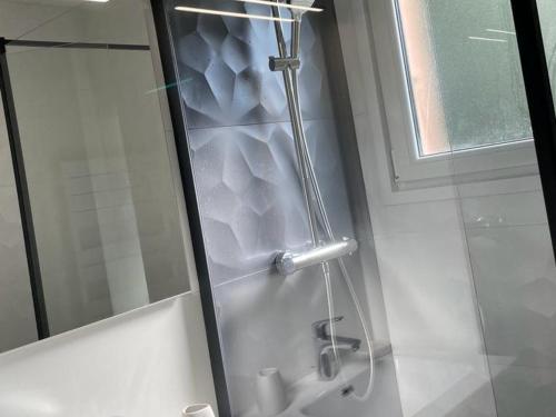 Appartement Évian-les-Bains 2 pièces 4 personnes - FR-1-498-15 - image 12