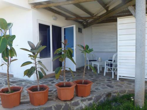 Rodrigues Kite House