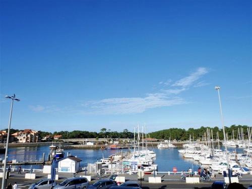 Appartement Capbreton 4 pièces 6 personnes - FR-1-413-113 - image 6