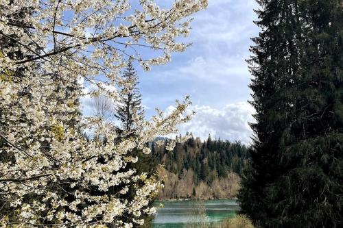 Közeli látványosságok, Wohnung mit fantastischer Aussicht in Trin-Digg