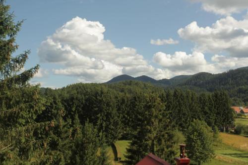 Apartman Srna - Gorski kotar in 松格