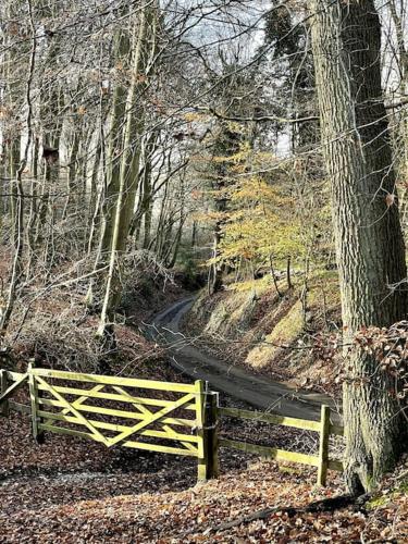 Perfectly Positioned Hambleden House