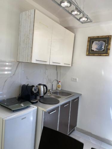 kuhinja, Apartments Stankovic & Boat tours in Sotonići