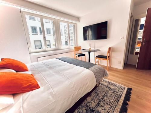 Cozy Studio Apartment Unit 11 in Center of Zurich, Curych (fotografie 4)